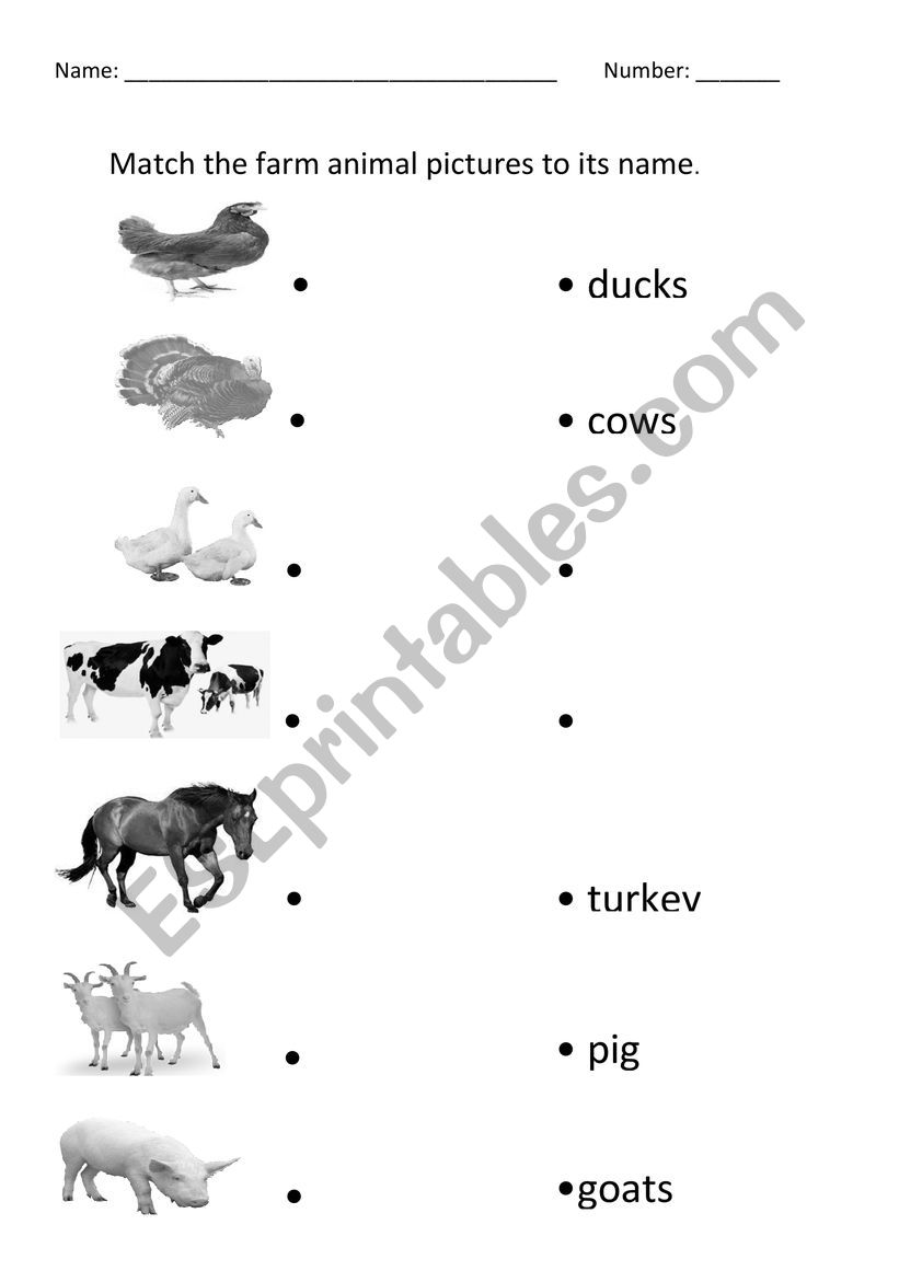Farm Animals worksheet