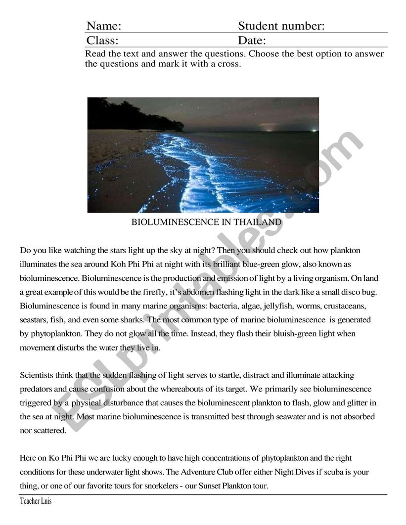 Bioluminescence  worksheet