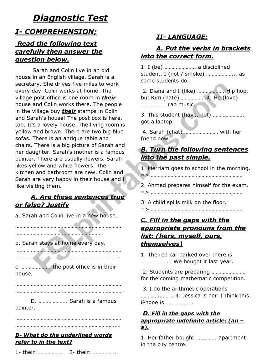 diagnostic test  worksheet