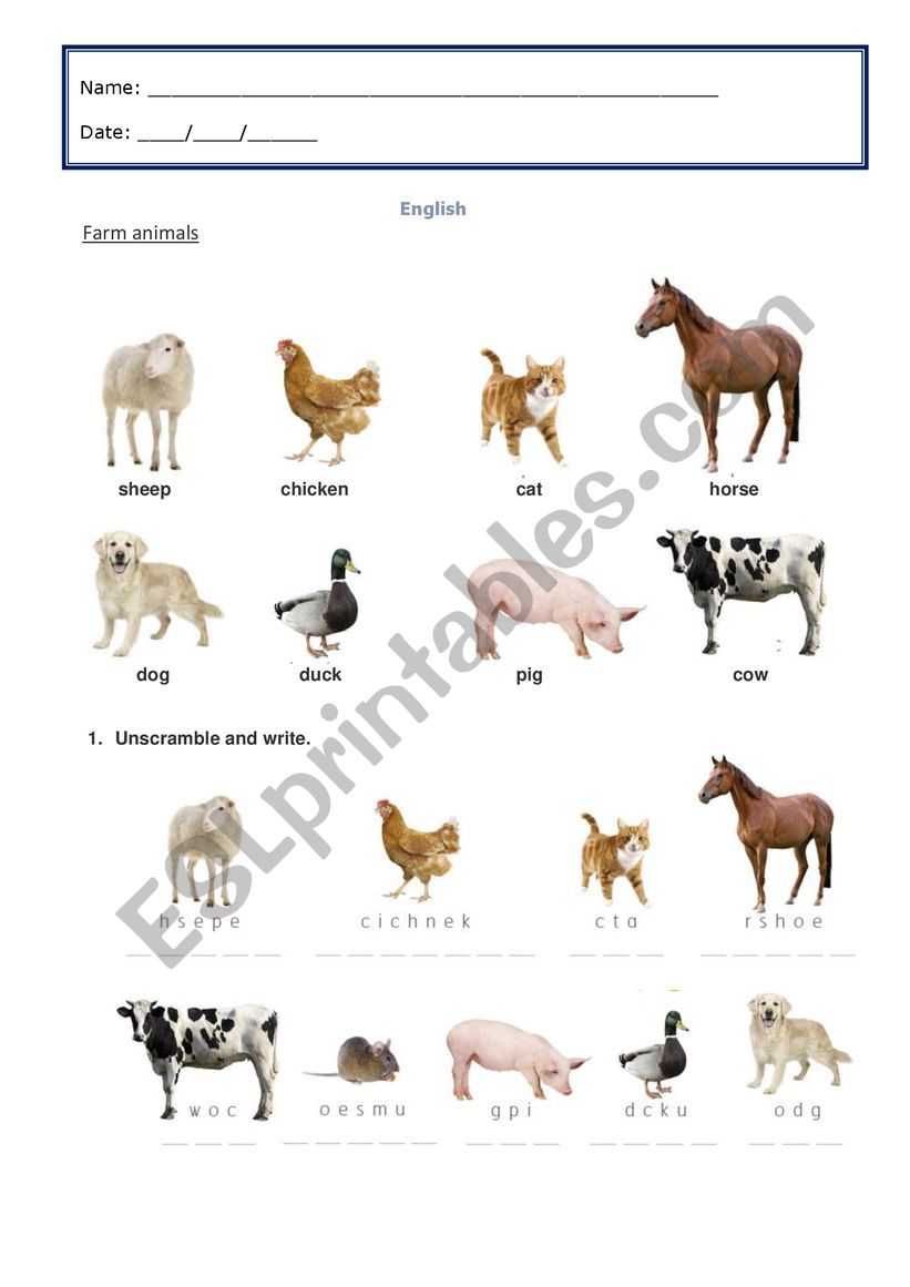 farm animals worksheet