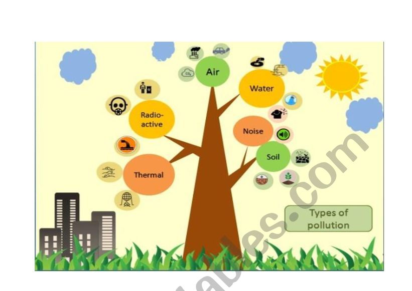 Types of Pollution worksheet