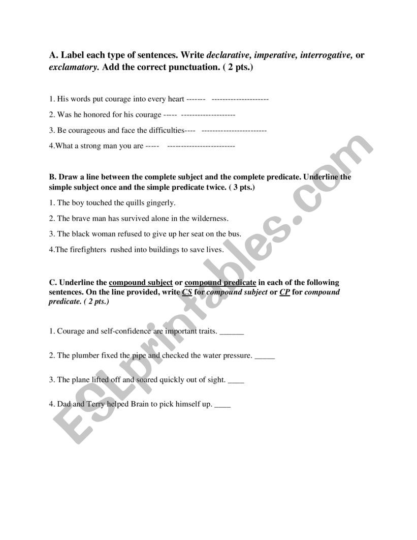 Grammar Test worksheet