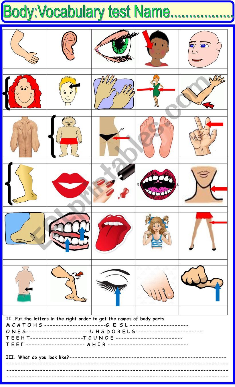 Body part vocabulary test or activity
