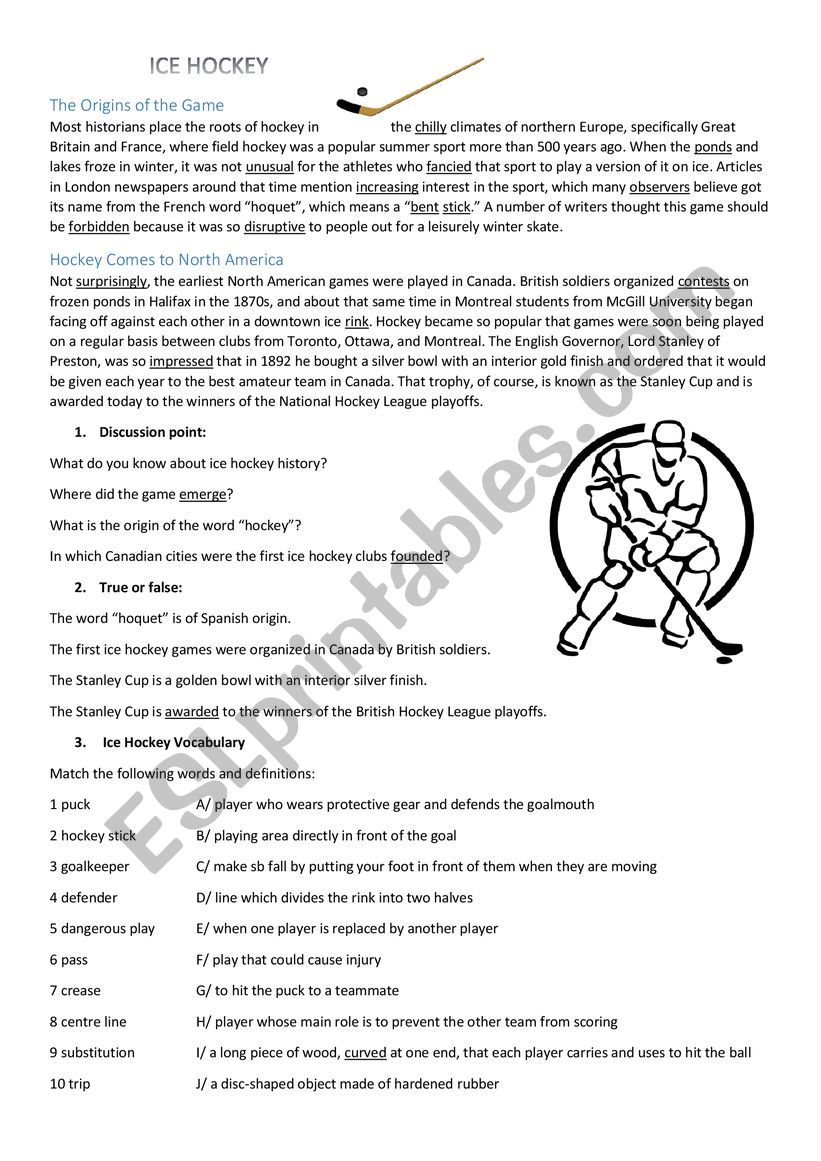 ice hockey worksheet