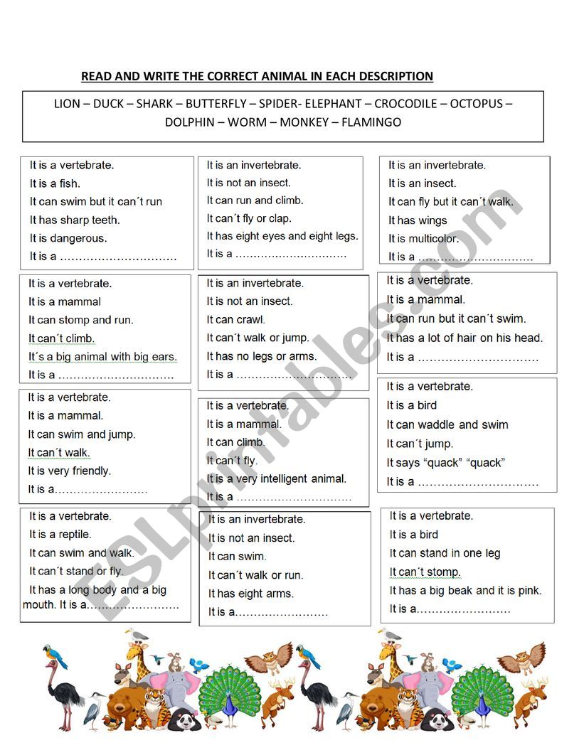 Reading about Animals  worksheet