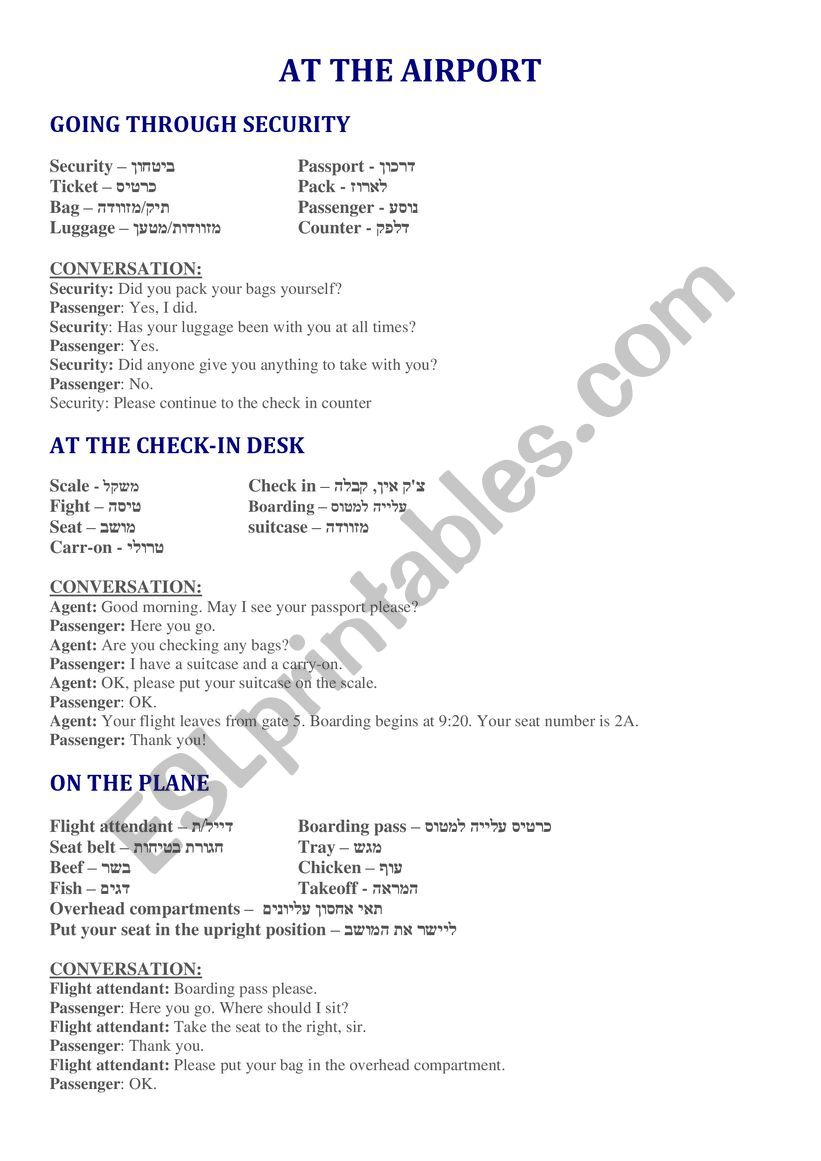 At the Airport Role play  worksheet