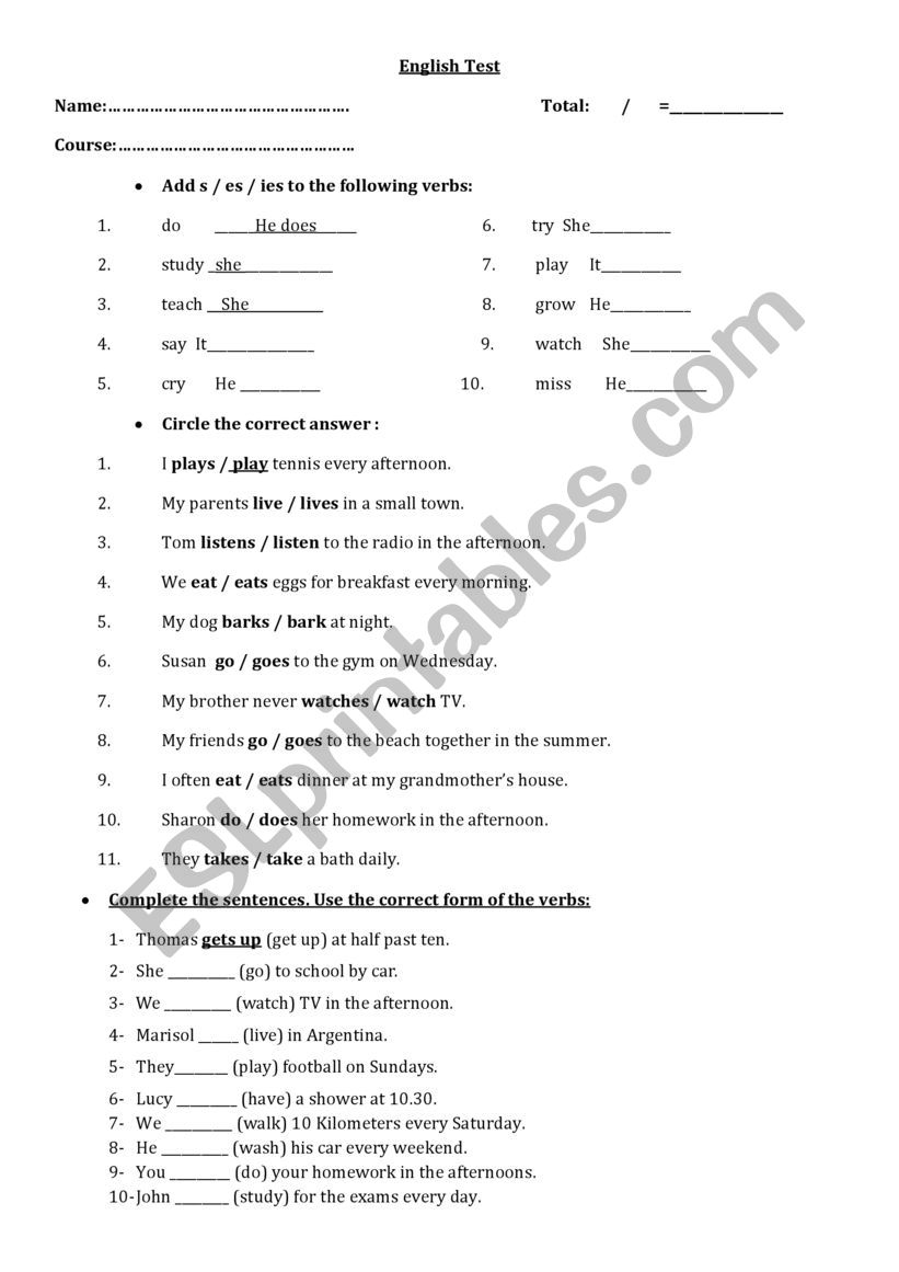 Simple Present test worksheet