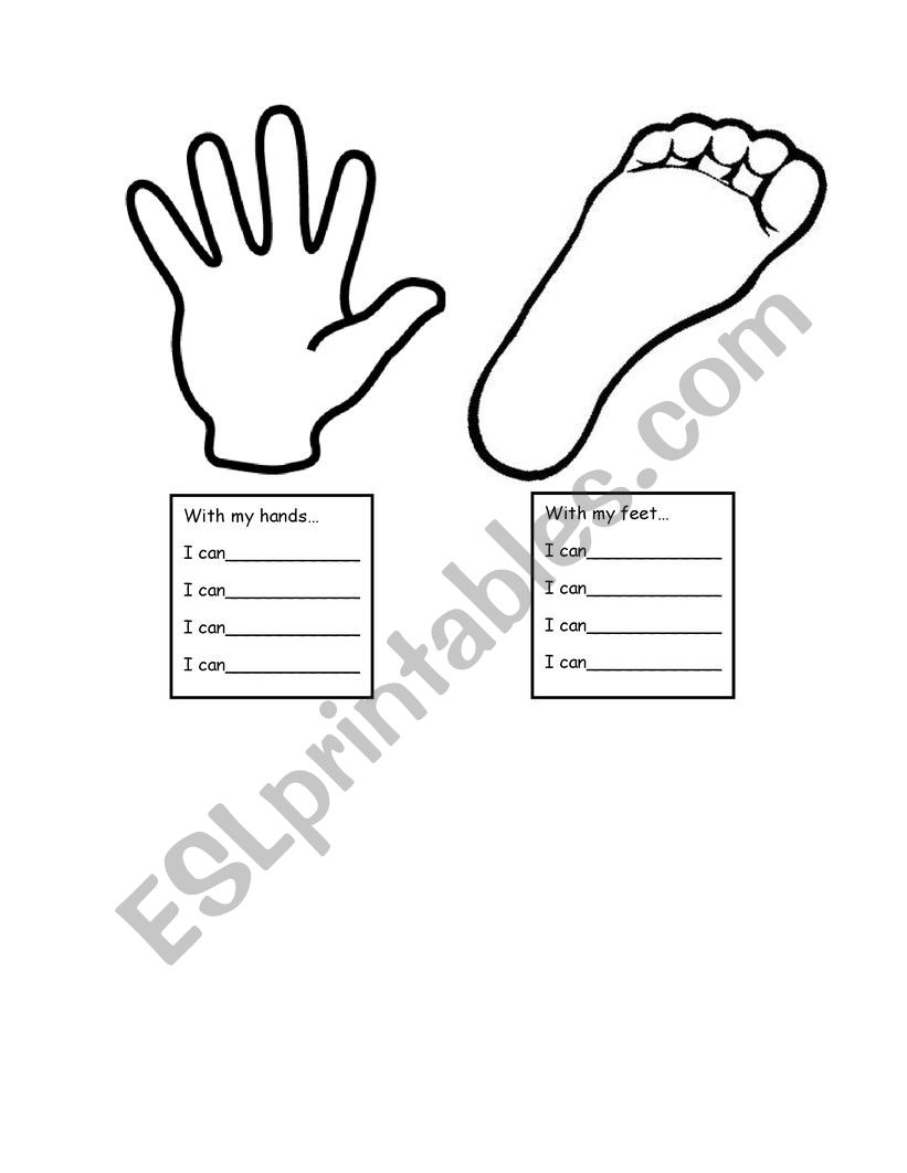 Feet and Hands worksheet