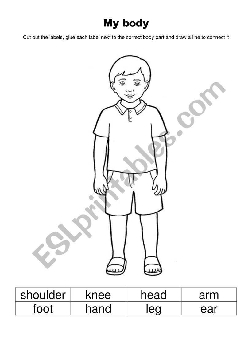 Body parts cut and glue worksheet