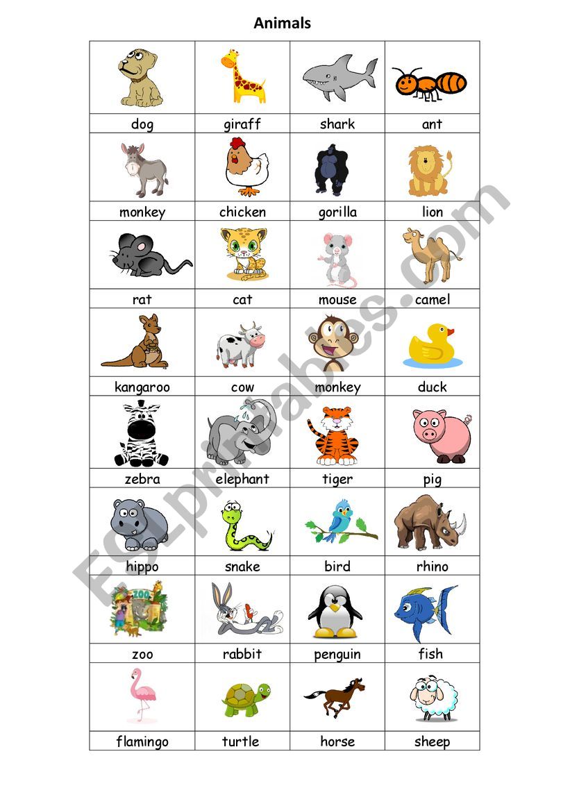 Common Animals Chart worksheet