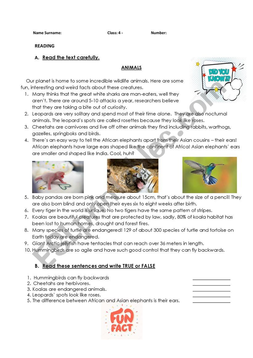 FUN FACTS!! worksheet