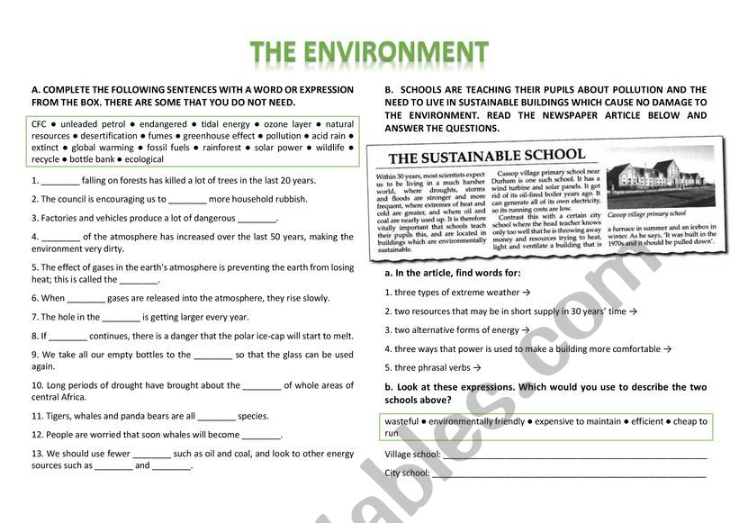 The Environment worksheet