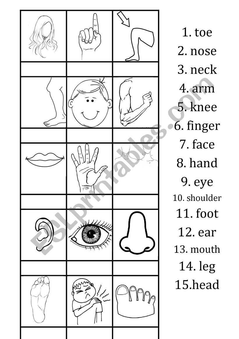 Body Parts worksheet