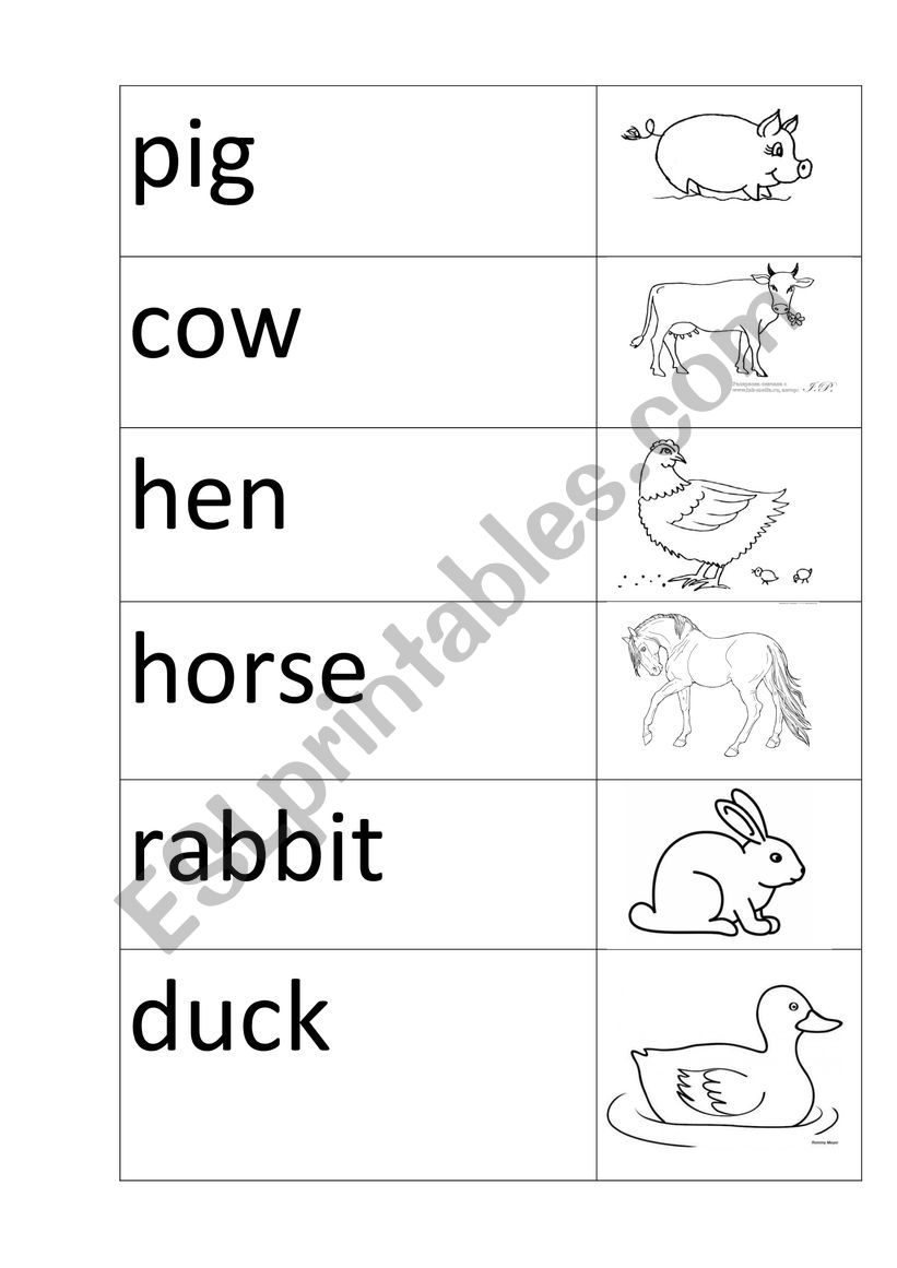 domestic animals worksheet