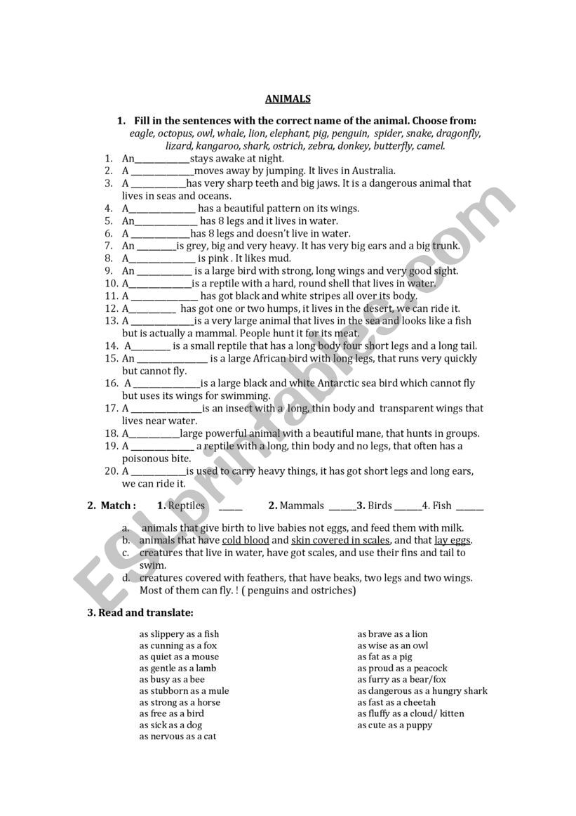 animals worksheet