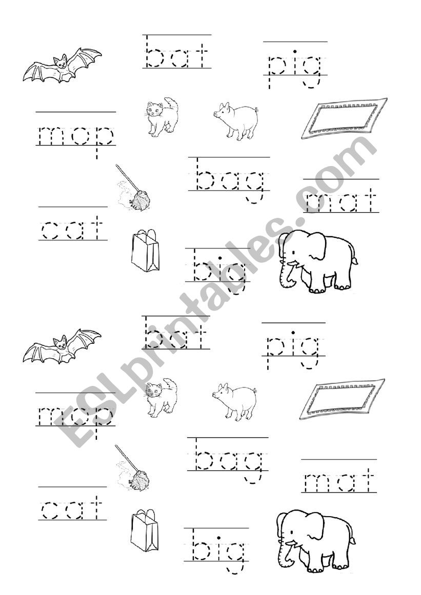 Reading first words worksheet