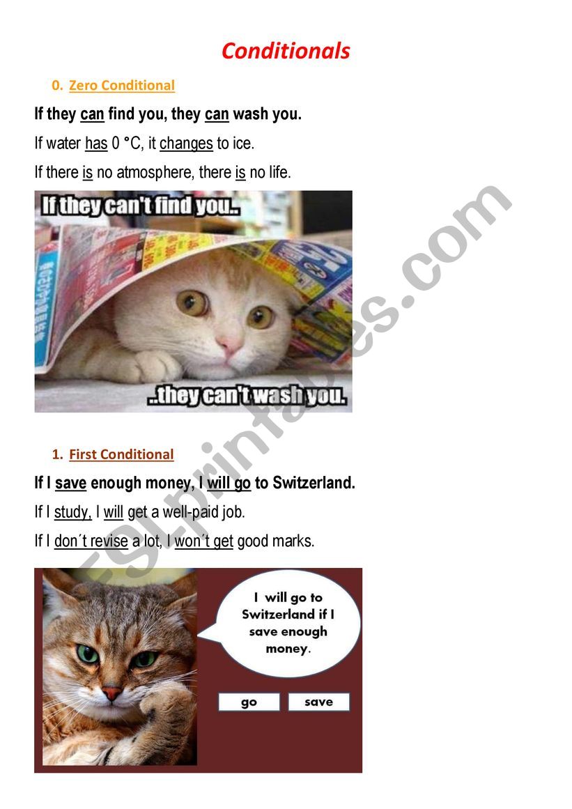 Learn Conditionals with Cats worksheet