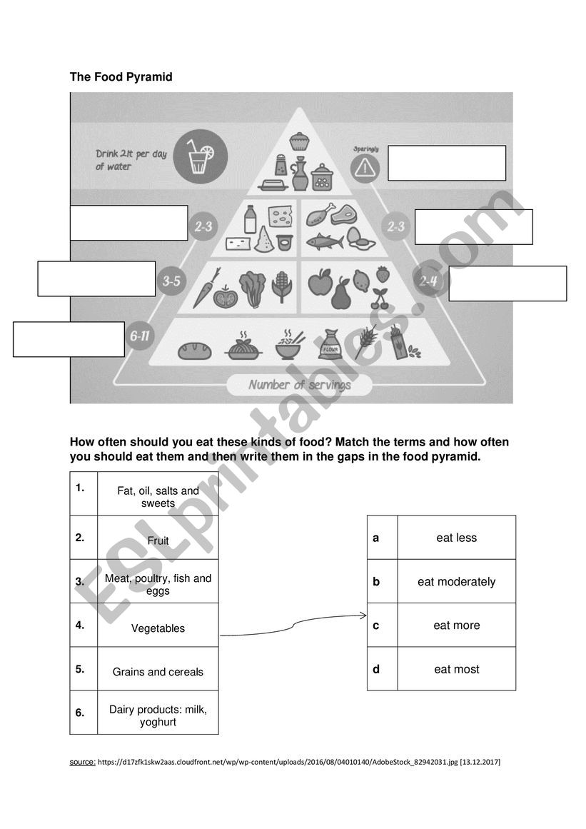 food pyramid worksheet