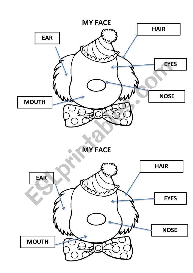 MY FACE worksheet