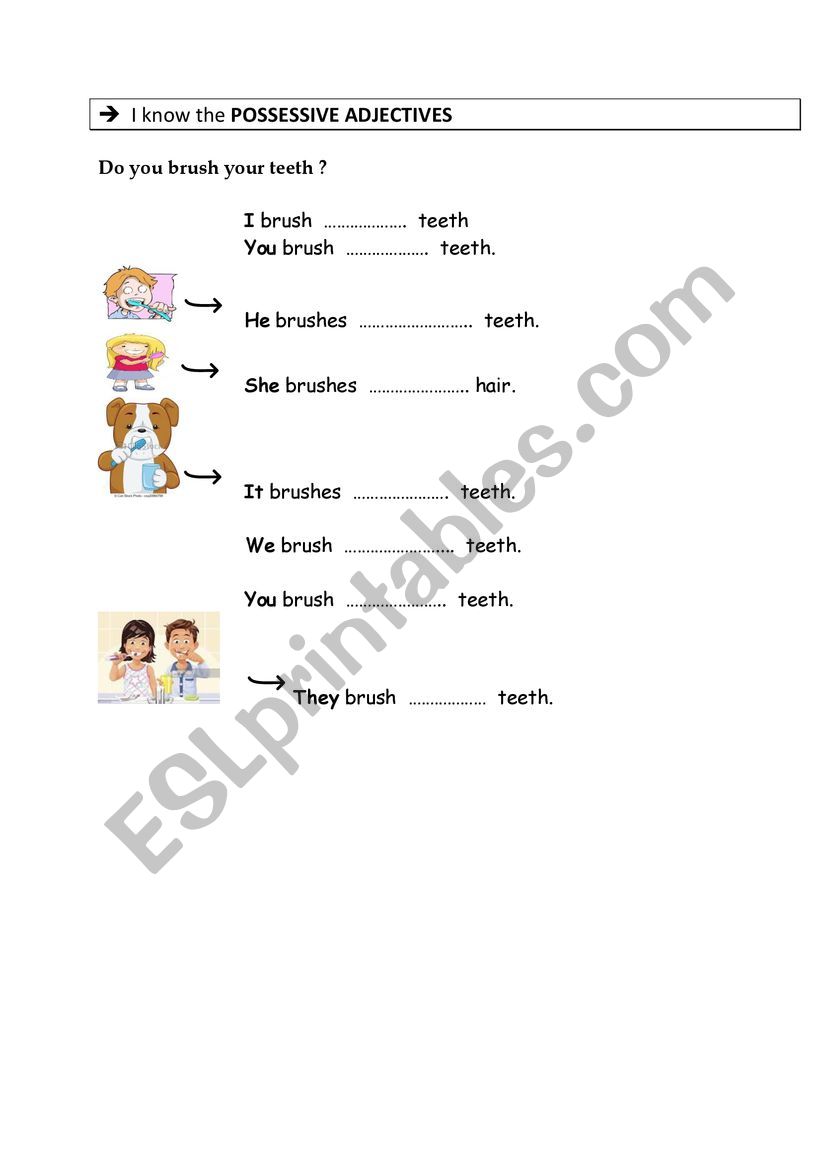 adjectives possessives worksheet