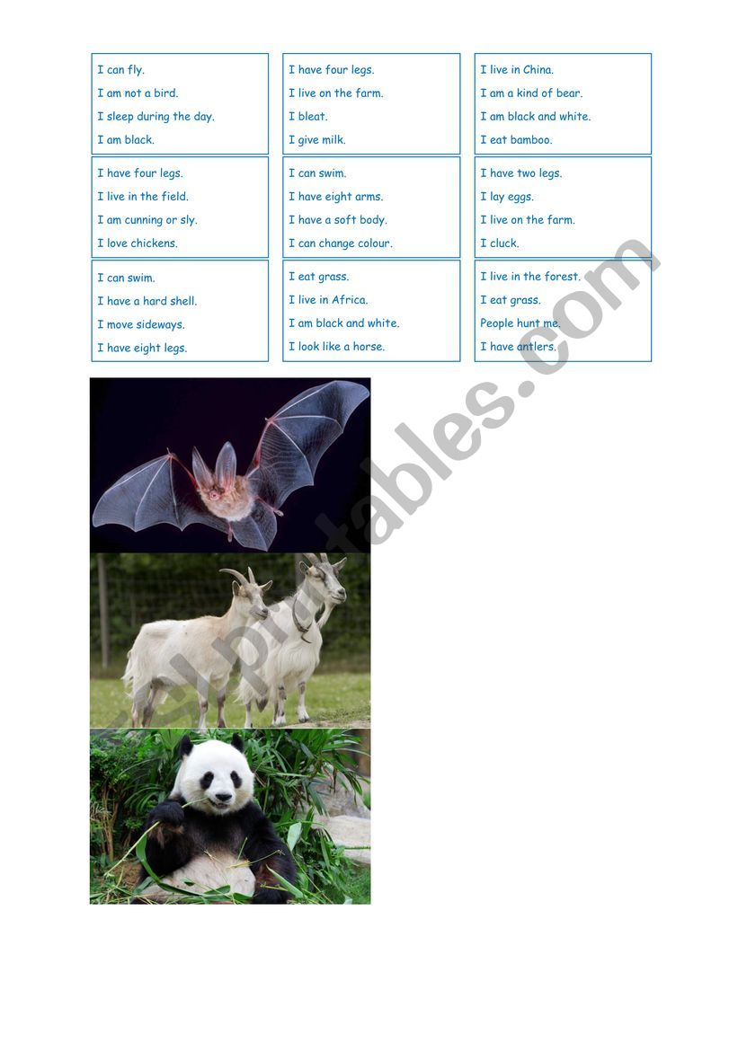 Animal cards worksheet
