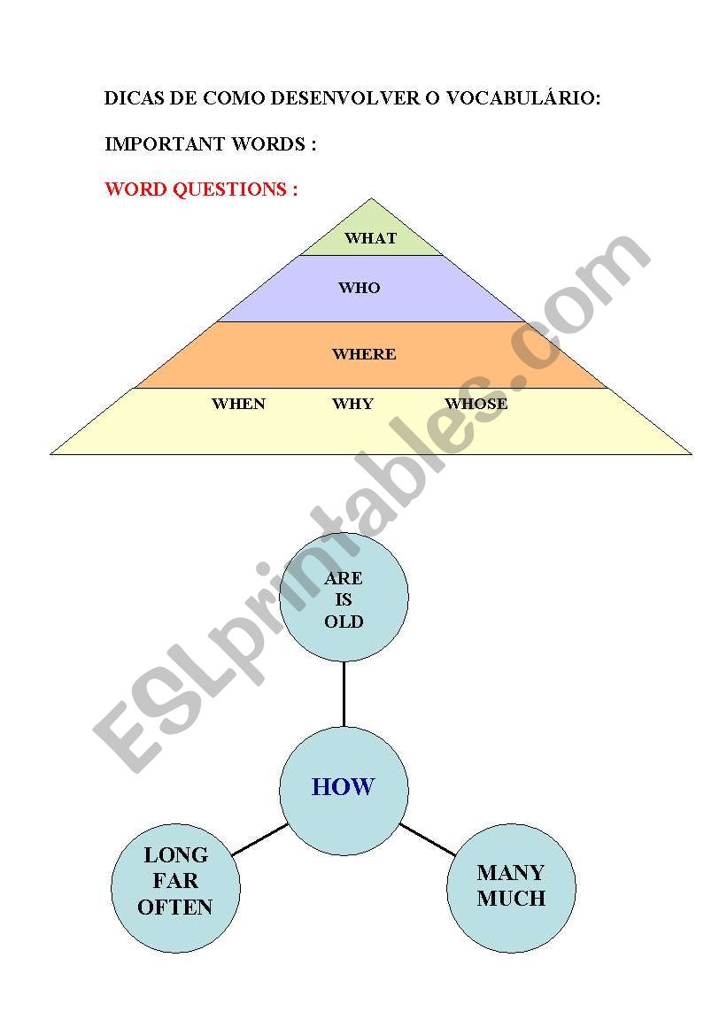 WORD QUESTIONS worksheet