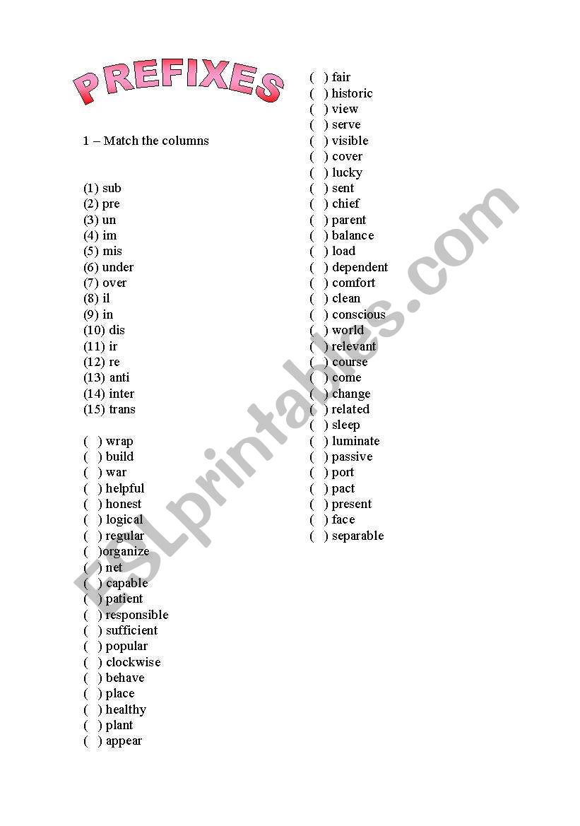 Prefix Activity worksheet