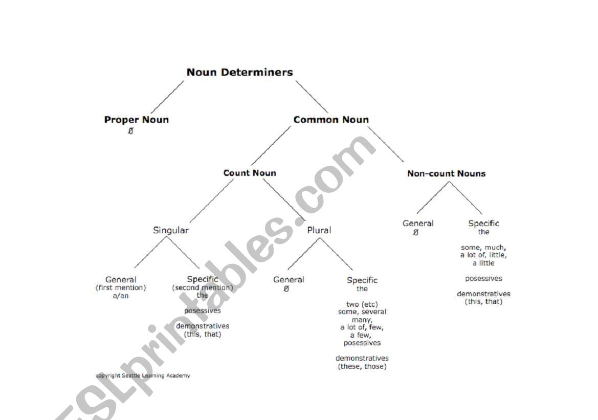 Determiners Graphic Organizer worksheet