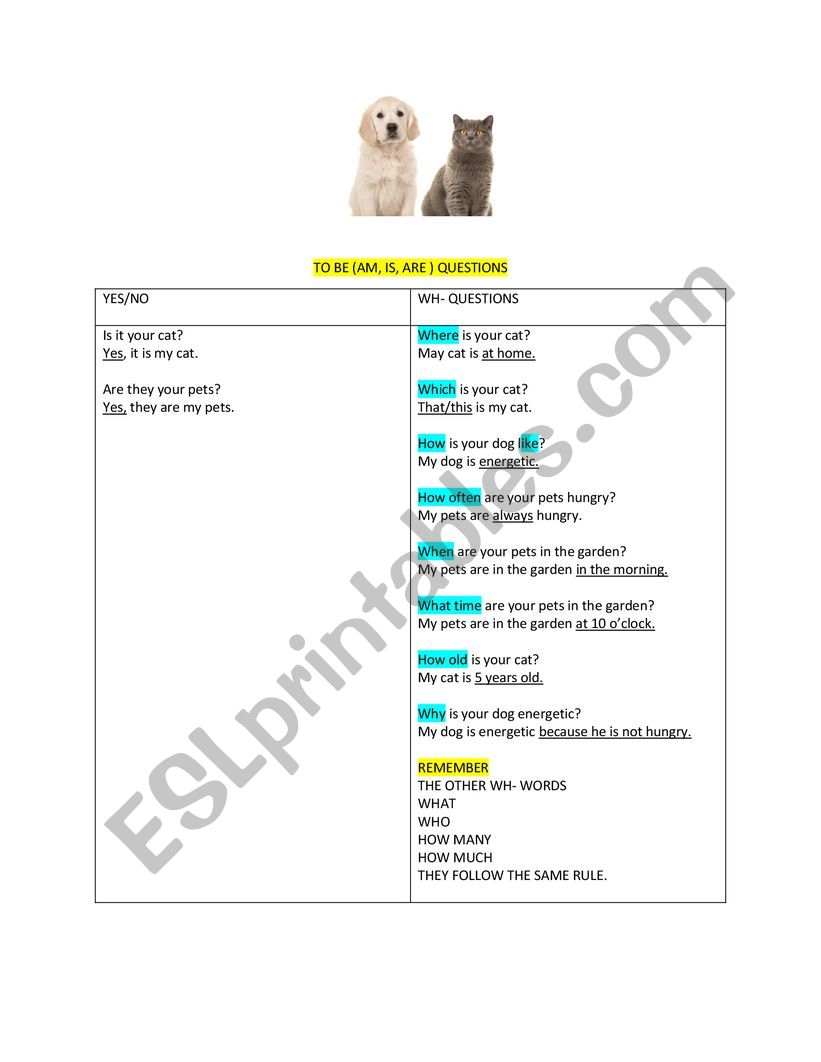 Question Making To Be  worksheet