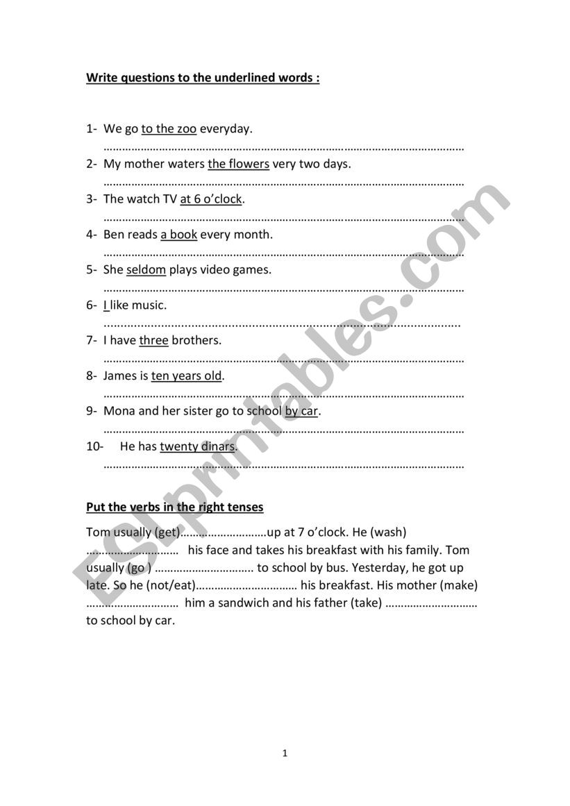 revision Youssef worksheet