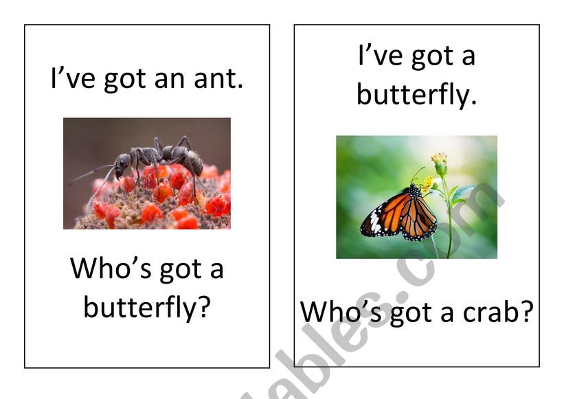 I´ve got a ..., Who´s got a ... Part 1(A-M) I´ve got a ..., Who´s got a ... Part 1(A-M)
