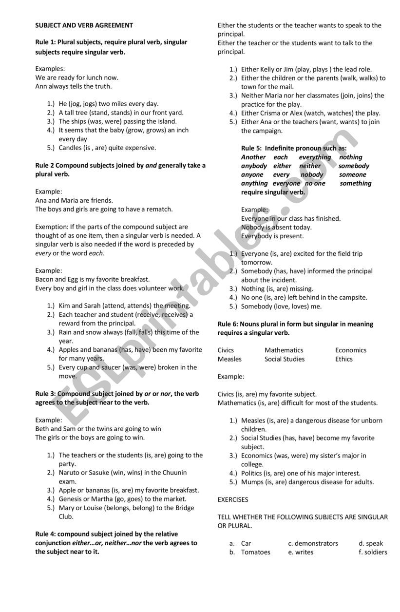 Subject Verb Agreement worksheet