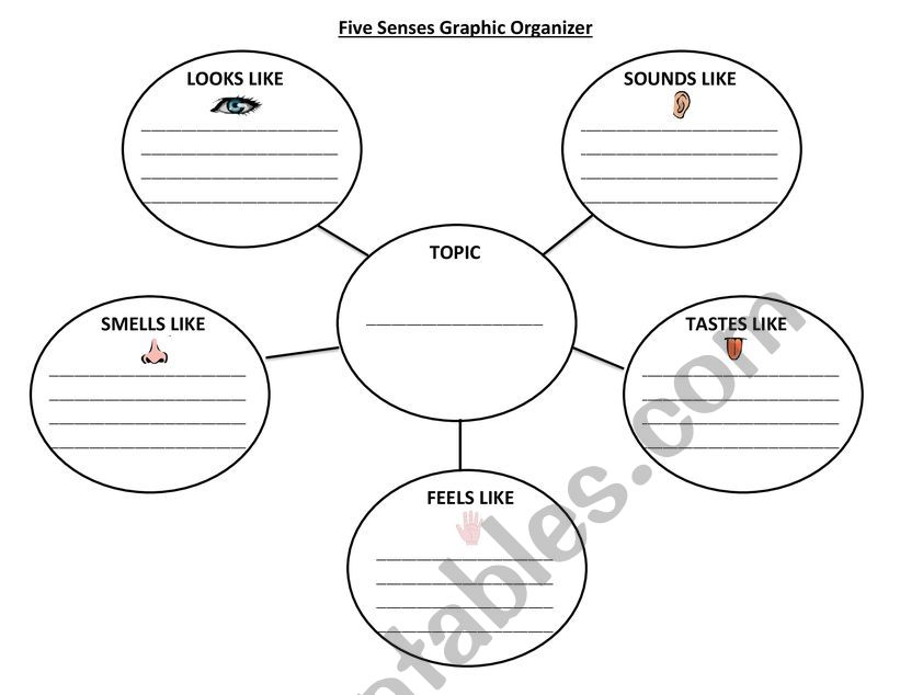 Five Senses Bubble Map Graphic Organizer 