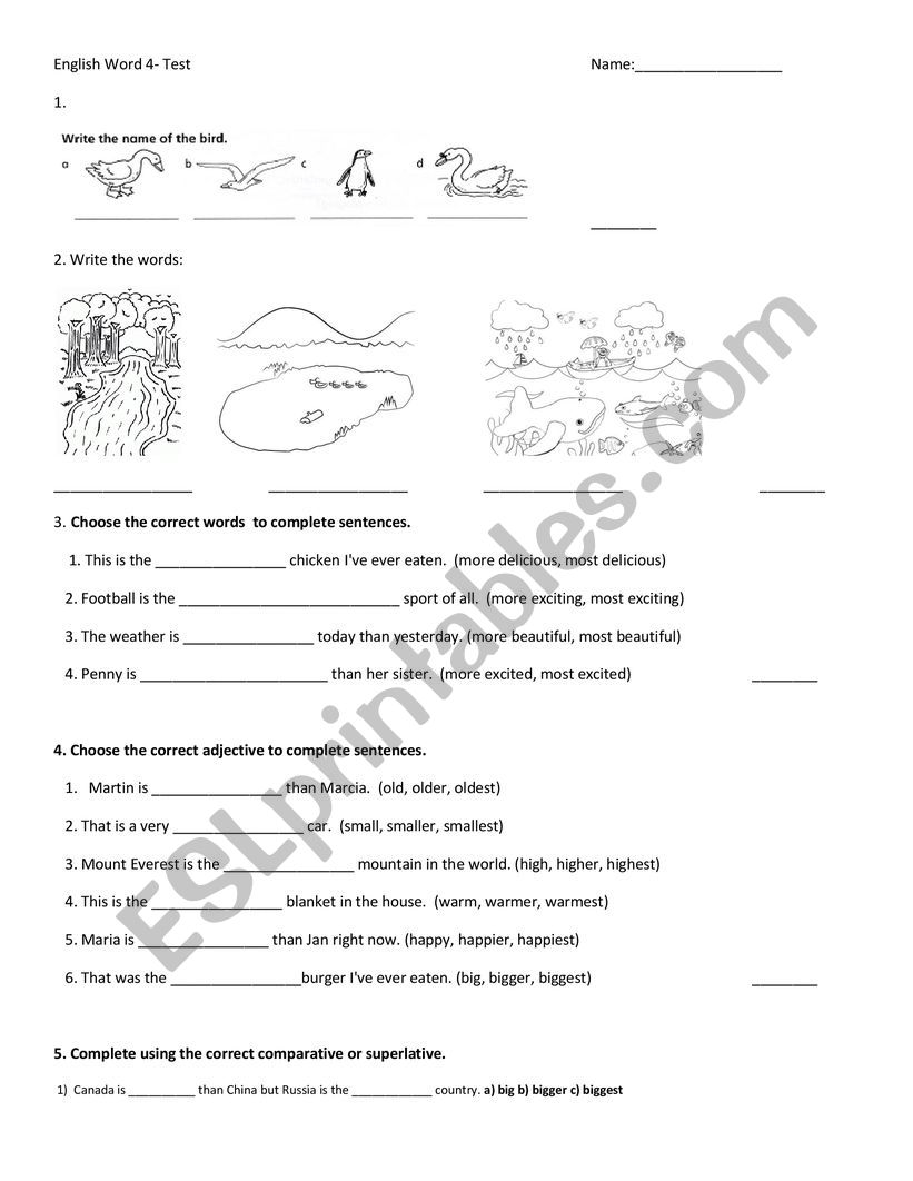 English World 4 Test worksheet