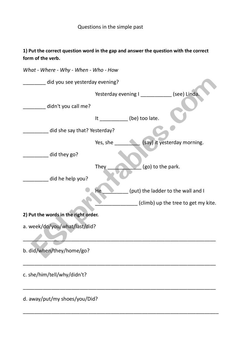 Questions in the simple past worksheet