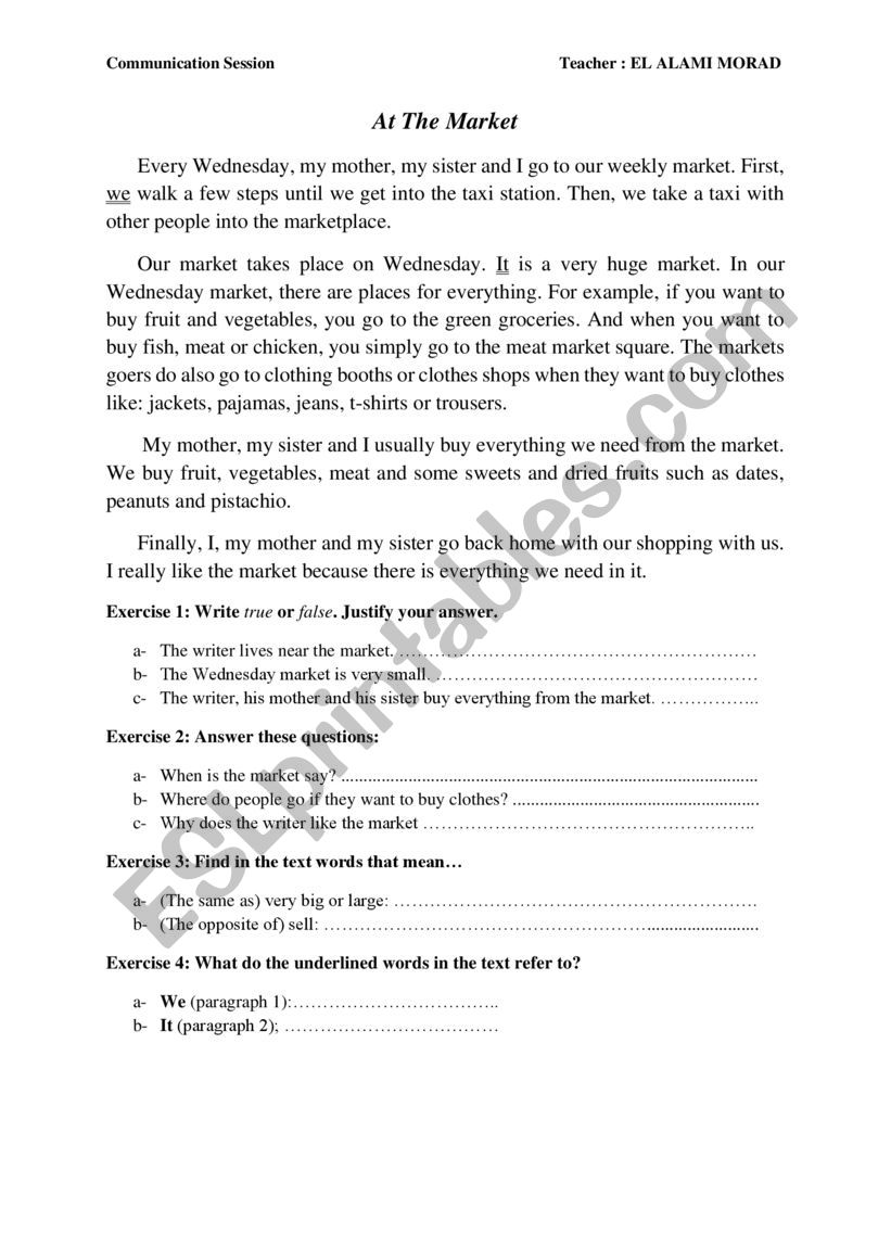 comprehension text worksheet