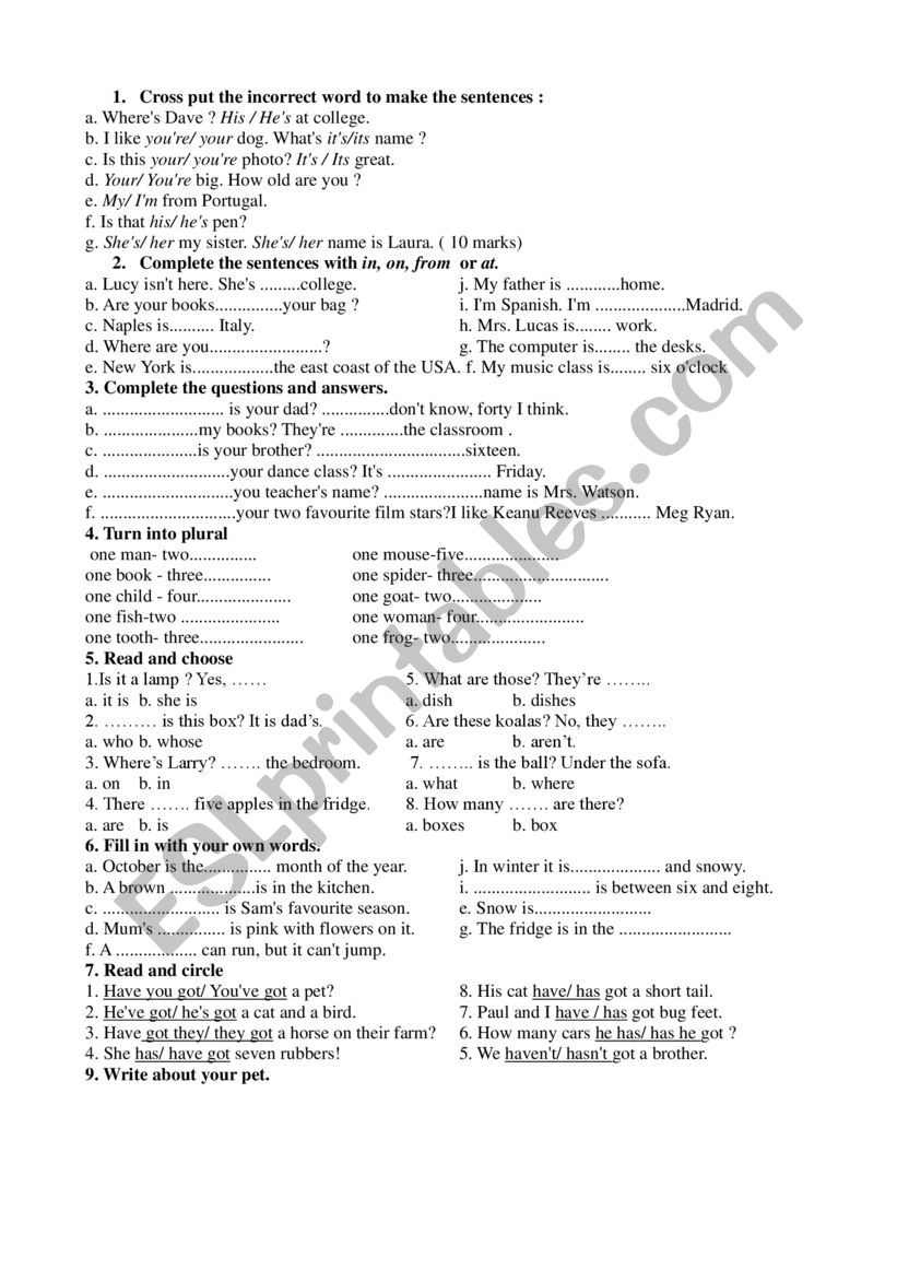 initial test worksheet