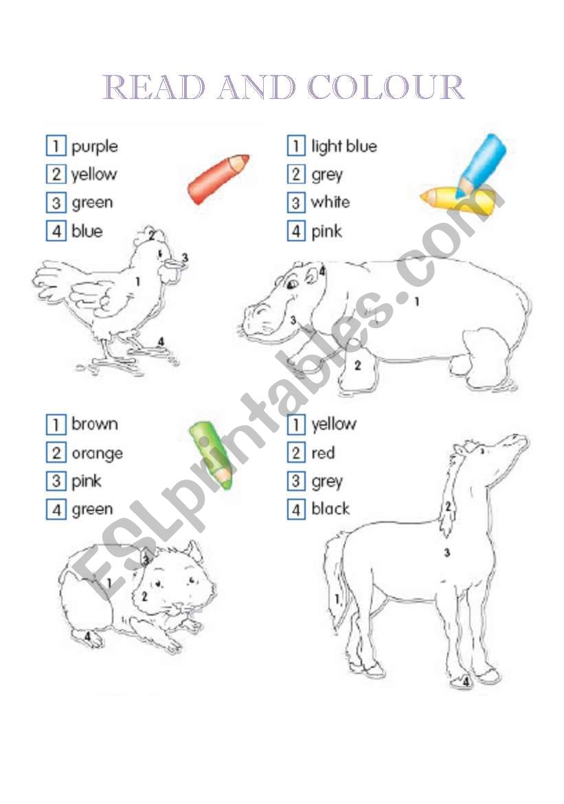 read and colour worksheet