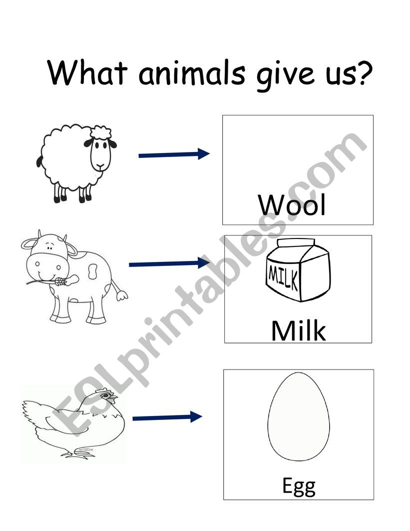 what animals give us - ESL worksheet by aliiinazia
