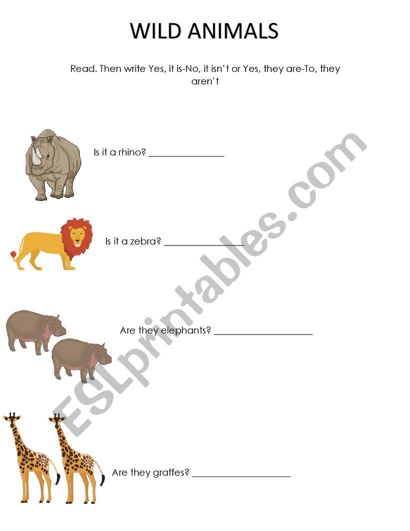 WILD ANIMALS worksheet