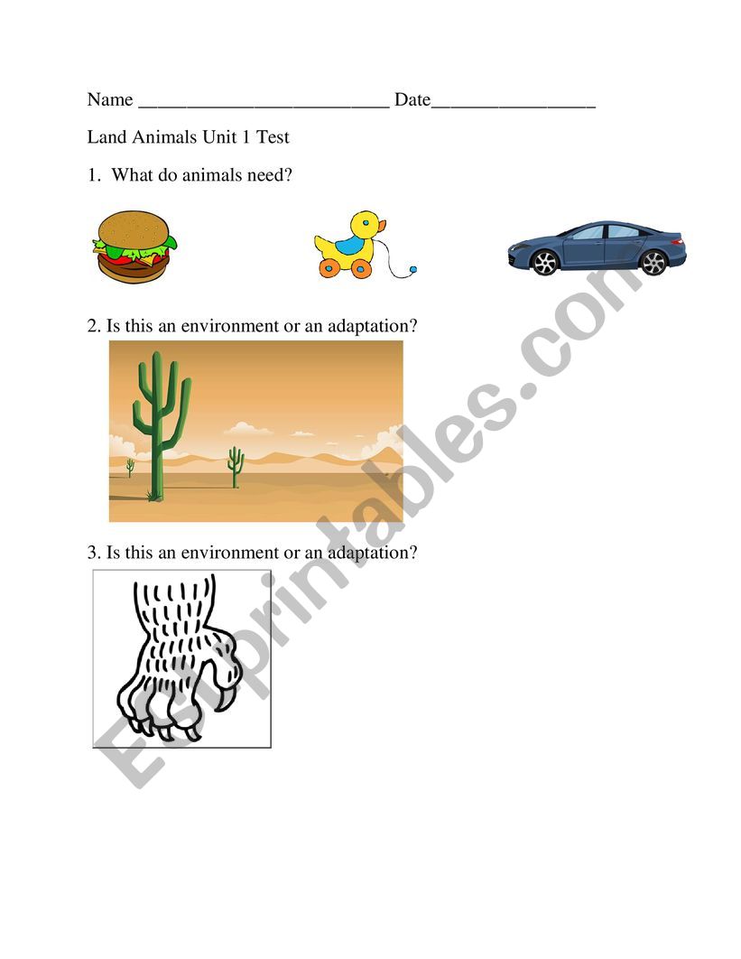 Reading Unit 1 Test worksheet