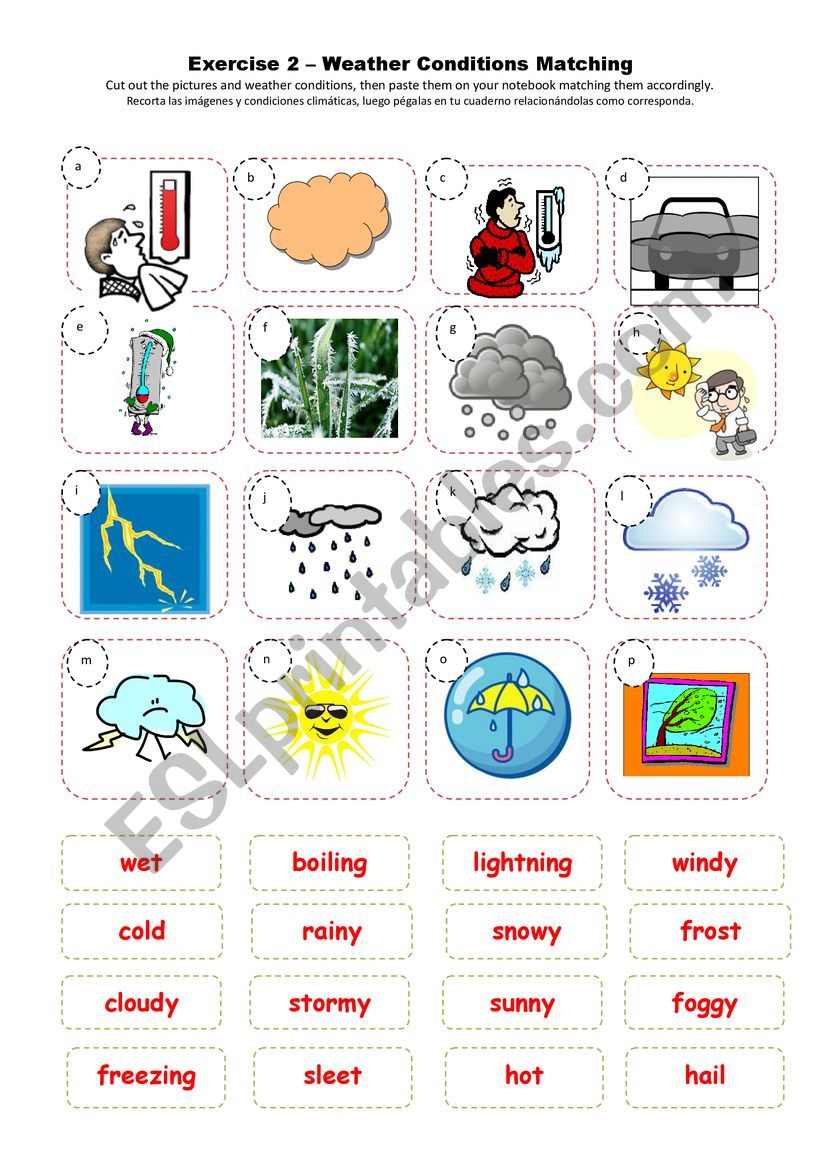 The weather worksheet