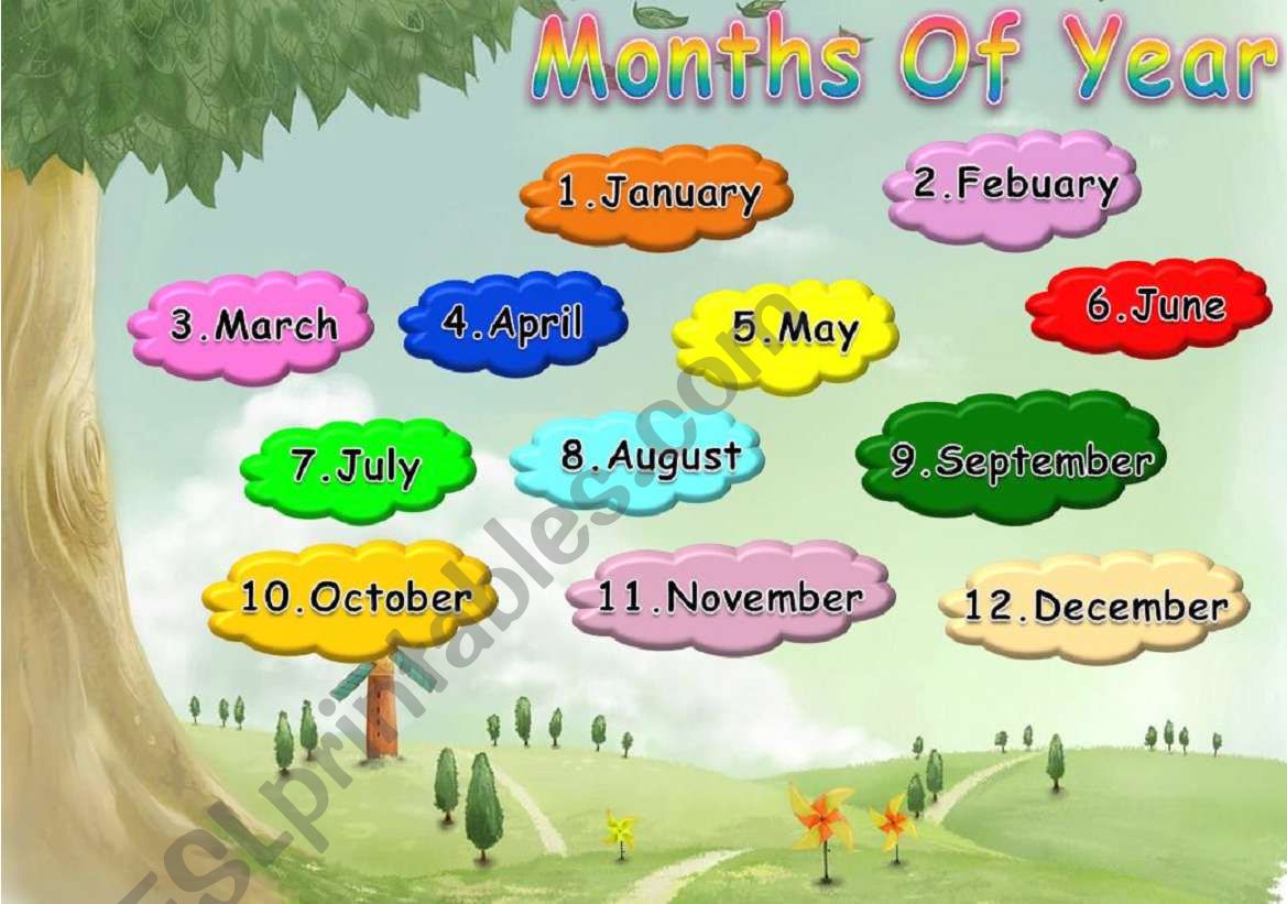 months of  a year worksheet