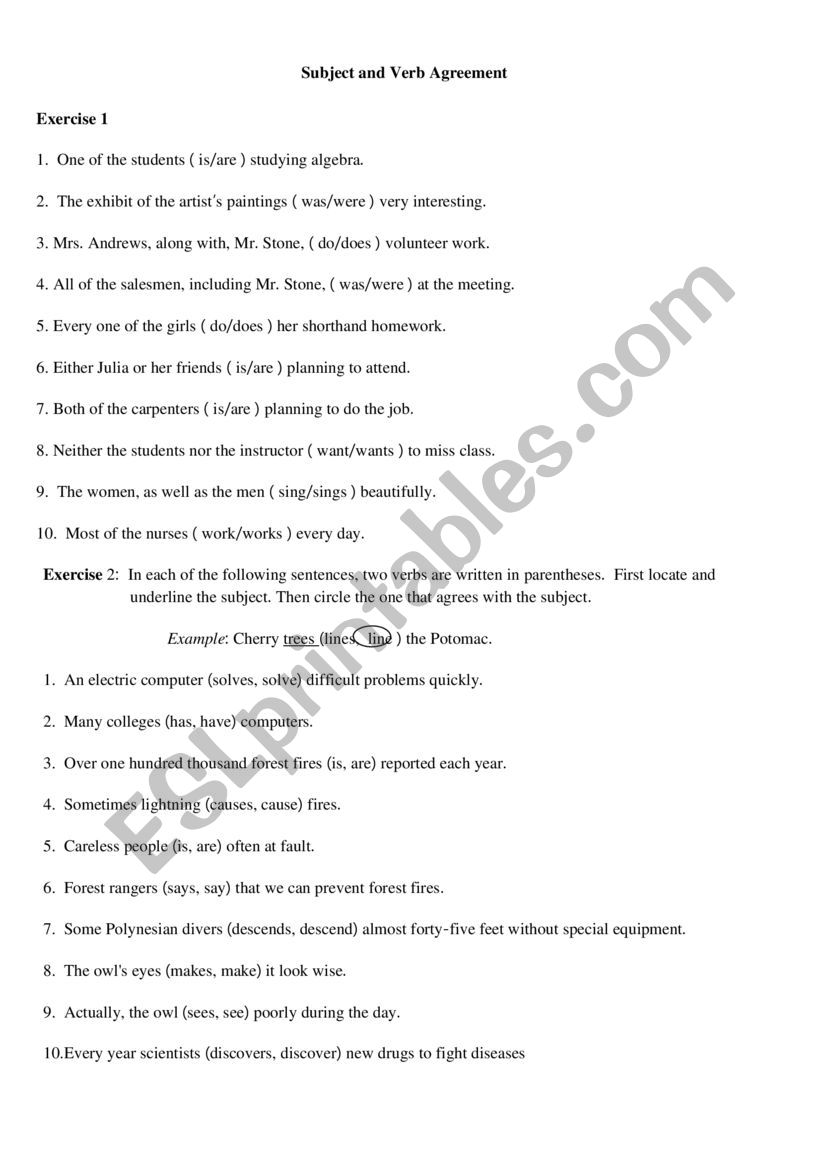 Subject and Verb agreement worksheet