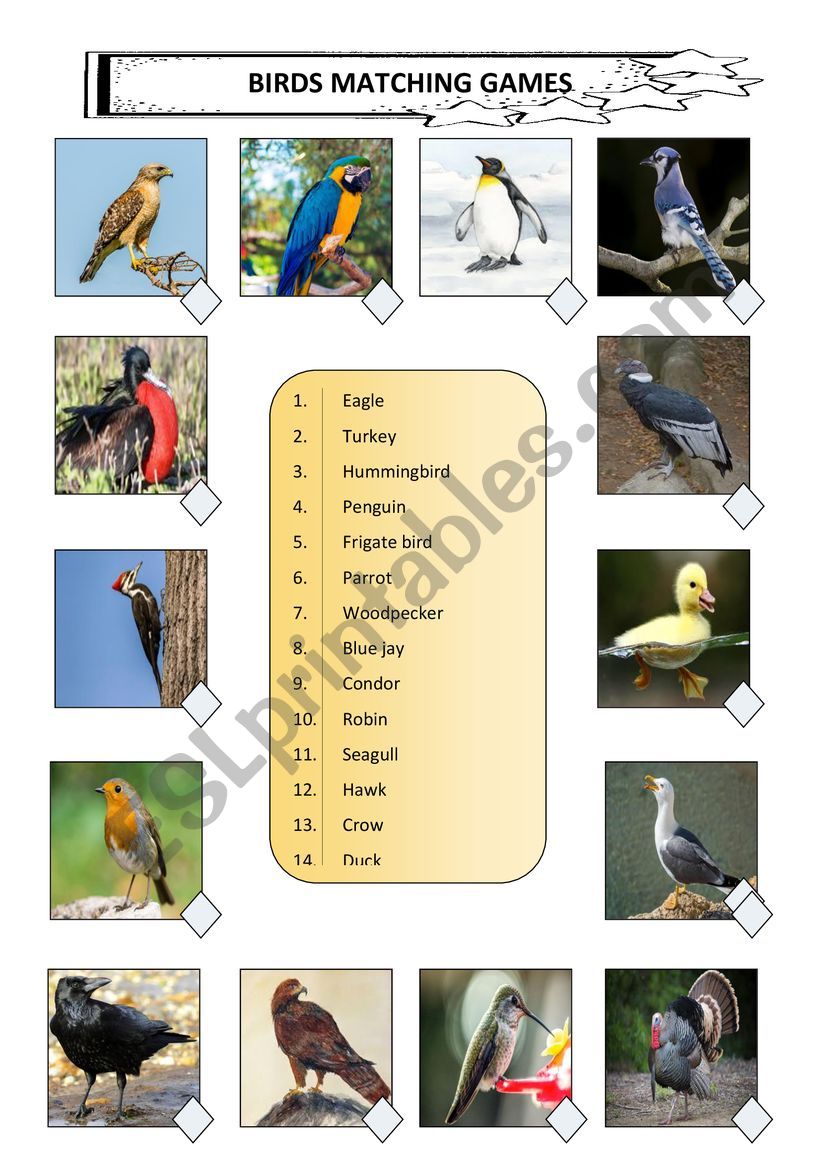 BIRDS MATCHING GAMES worksheet