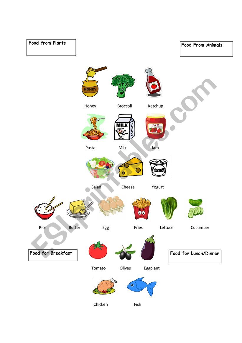 Food sorting worksheet