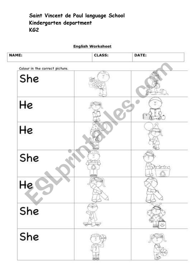 He or She worksheet