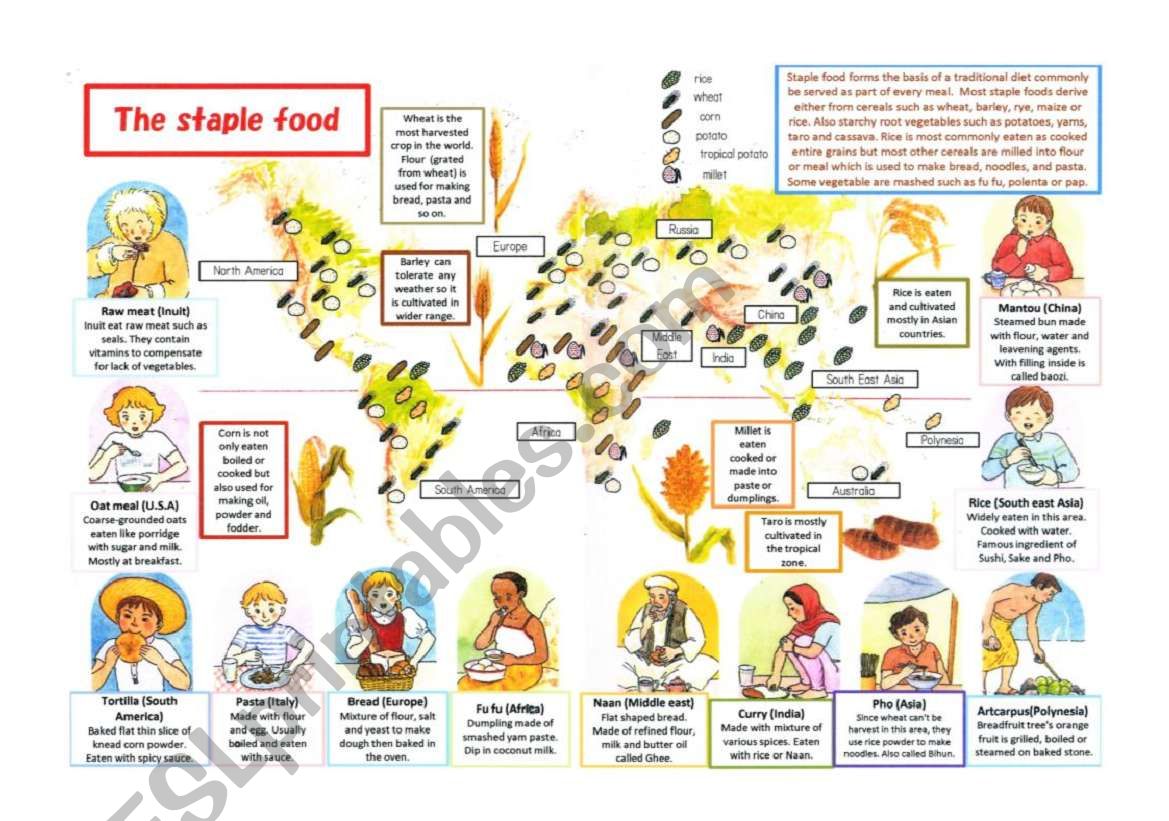 Staple food around the world worksheet