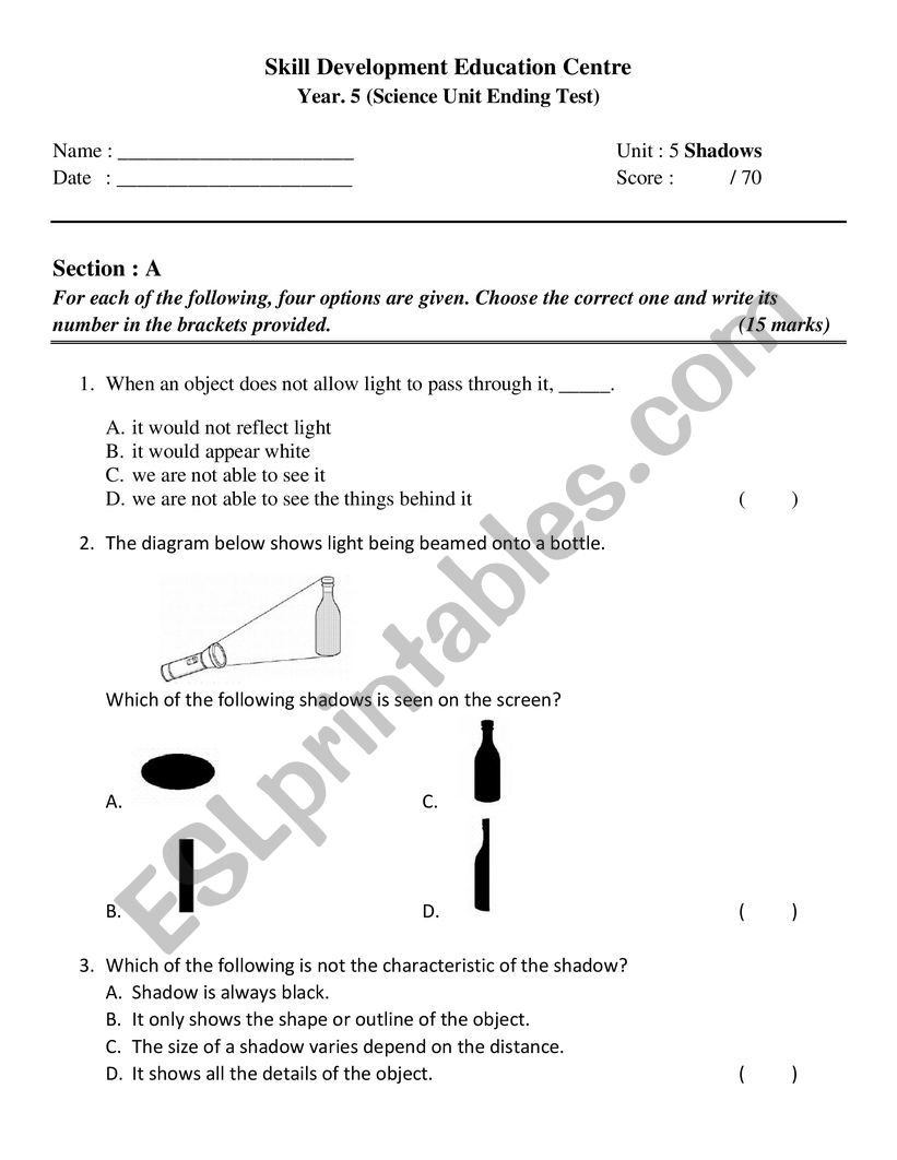 Shadows worksheet