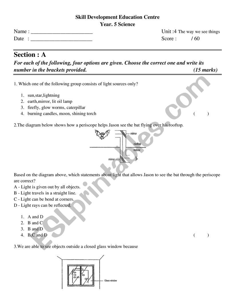 Light worksheet